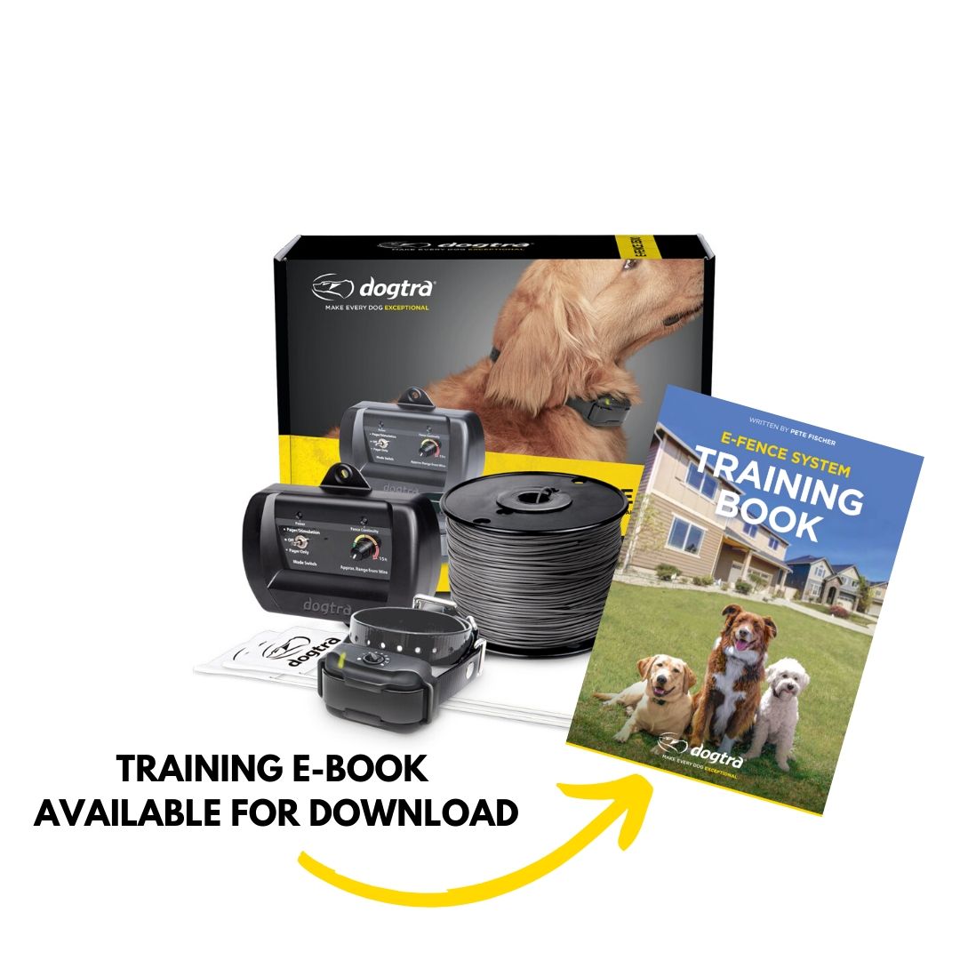 dogtra e fence 3500