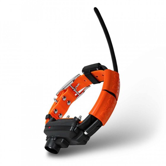 DOG GPS X30TB GPS plusz nyakörv Dogtrace