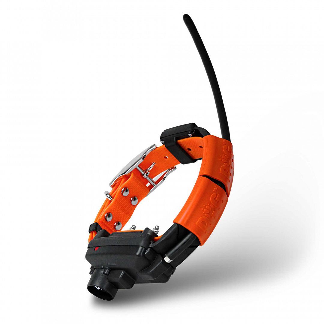 DOG GPS X30TB GPS plusz nyakörv Dogtrace