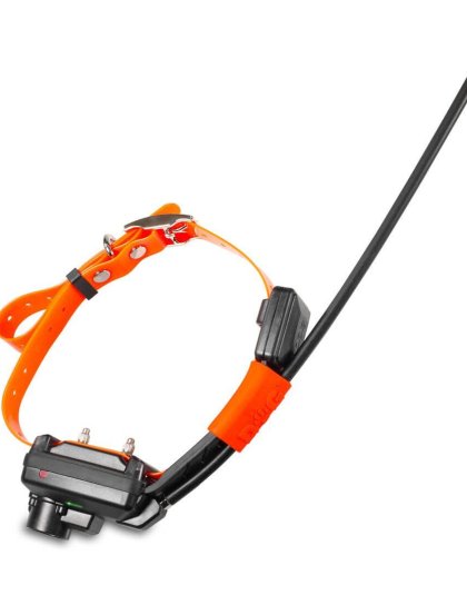 DOG GPS X30TB short GPS plusz nyakörv Dogtrace